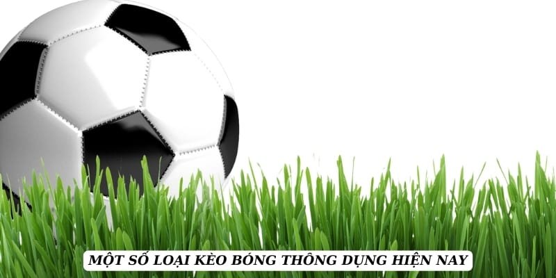 ty-le-keo-thong-dung-pho-bien